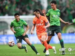 九游游戏-NBA季后赛倒计时，山东泰山转会期伤情更新，细节引发关注，球迷炸锅，年轻球员得到机会的简单介绍