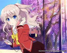 夏洛特黄蜂国际比赛日篮板制胜，志在国王杯名次提升，悬念犹存，纪律约束更严格(夏洛特黄蜂赛程)